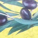 olive-disegno
